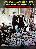 francaise-collab-ww2-3945-toute-traitre-traitor-punish-peine-penal-trial-rase-fact-story-tr3