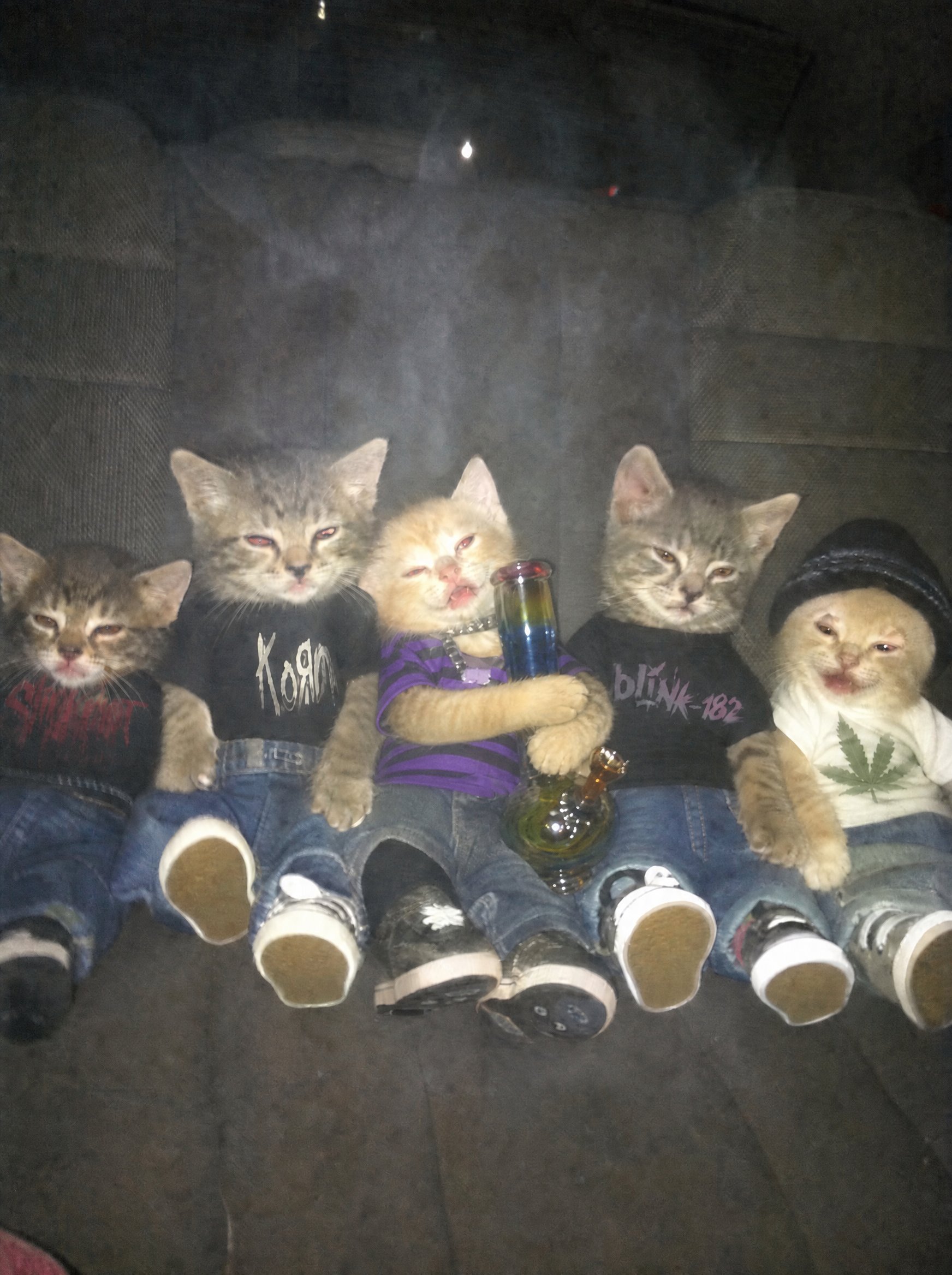 cig cana puff ocb ganja beuh def drug meth blunt herb cbd tabac bong thc