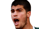 carlos-alcaraz-homme-sportif-tennisman-espagnol-brun-yeux-marrons-vingtaine-vingtenaire-tennis-carlitos
