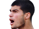carlos-alcaraz-homme-sportif-tennisman-espagnol-brun-yeux-marrons-vingtaine-vingtenaire-tennis-carlitos