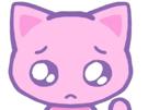 cat-rose-pink-needy-sad-triste-snif-cute-chat