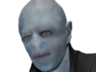 zinedine-zidane-zizou-brise-depite-foot-algerie-coupe-du-monde-2026-cdm-voldemort-harry-potter
