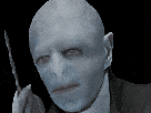 zinedine-zidane-voldemort-harry-potter-sorcier-sortilege-avada-kedavra-algeria-coupe-du-monde-2026-gif