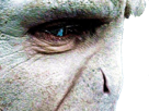 voldemort-harry-potter-ouroboros-serpent-fic-bloop