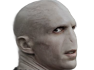 voldemort-harry-potter-ouroboros-serpent-fic-bloop