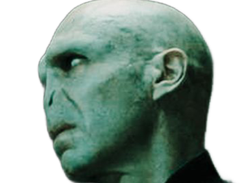 voldemort harry potter ouroboros serpent fic bloop