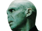 voldemort-harry-potter-ouroboros-serpent-fic-bloop