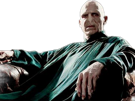 voldemort-harry-potter-ouroboros-serpent-fic-bloop