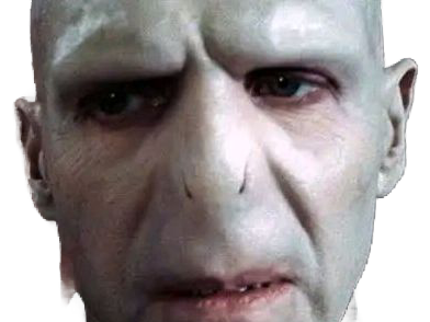 voldemort harry potter ouroboros serpent fic bloop
