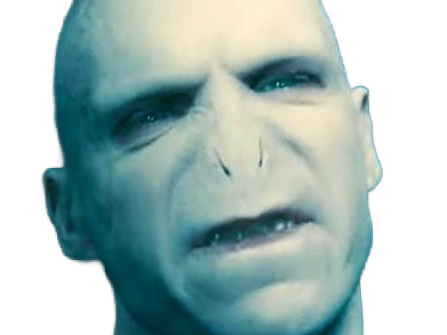 voldemort harry potter ouroboros serpent fic bloop