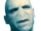 voldemort-harry-potter-ouroboros-serpent-fic-bloop