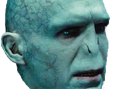 voldemort harry potter ouroboros serpent fic bloop
