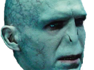 voldemort-harry-potter-ouroboros-serpent-fic-bloop