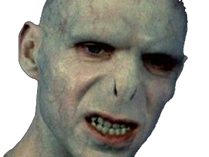 voldemort harry potter ouroboros serpent fic bloop