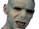 voldemort-harry-potter-ouroboros-serpent-fic-bloop