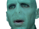 voldemort-harry-potter-ouroboros-serpent-fic-bloop