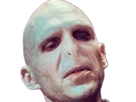 voldemort-harry-potter-ouroboros-serpent-fic-bloop