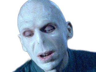 voldemort harry potter ouroboros serpent fic bloop