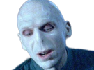 voldemort-harry-potter-ouroboros-serpent-fic-bloop