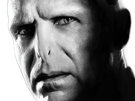 voldemort-harry-potter-ouroboros-serpent-fic-bloop