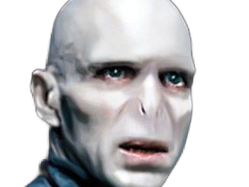 voldemort harry potter ouroboros serpent fic bloop