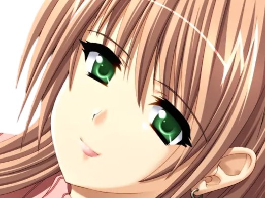 sasakawa ai presence vn