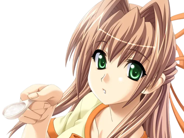 sasakawa ai presence vn