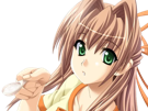 sasakawa-ai-presence-vn