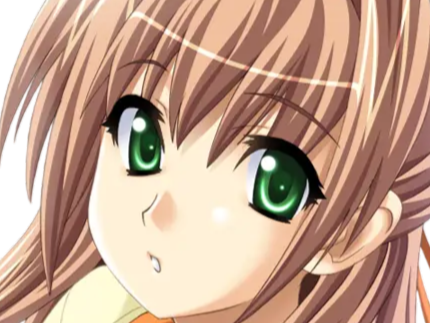 sasakawa ai presence vn