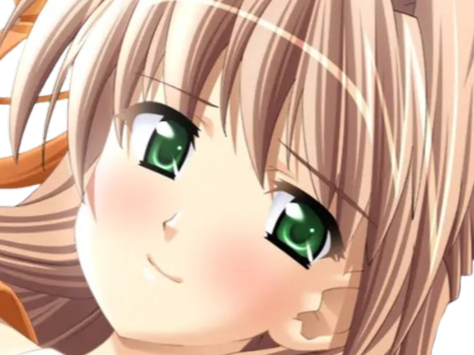 sasakawa ai presence vn