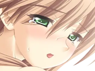 sasakawa ai presence vn