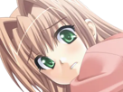 sasakawa-ai-presence-vn