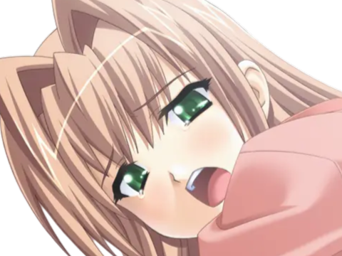 sasakawa ai presence vn