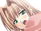 sasakawa-ai-presence-vn