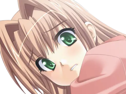 sasakawa ai presence vn