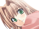 sasakawa-ai-presence-vn