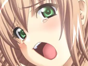 sasakawa ai presence vn