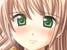 sasakawa ai presence vn