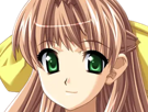 sasakawa-ai-presence-vn