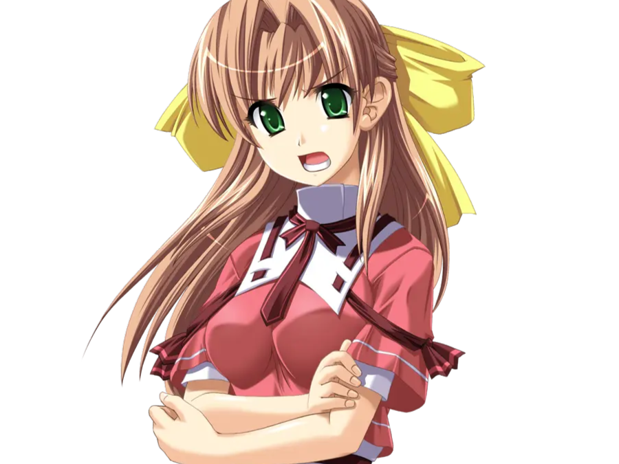 sasakawa ai presence vn