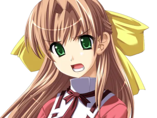sasakawa ai presence vn