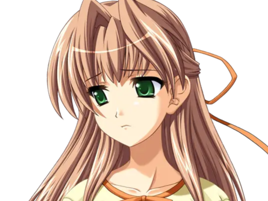 sasakawa ai presence vn