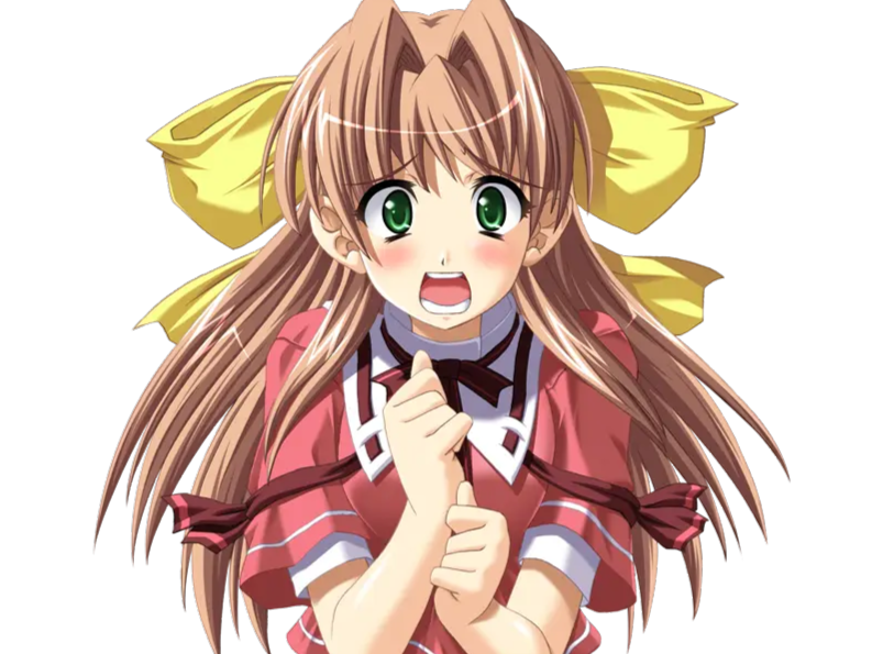 sasakawa ai presence vn
