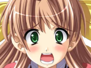 sasakawa ai presence vn