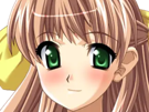 sasakawa-ai-presence-vn