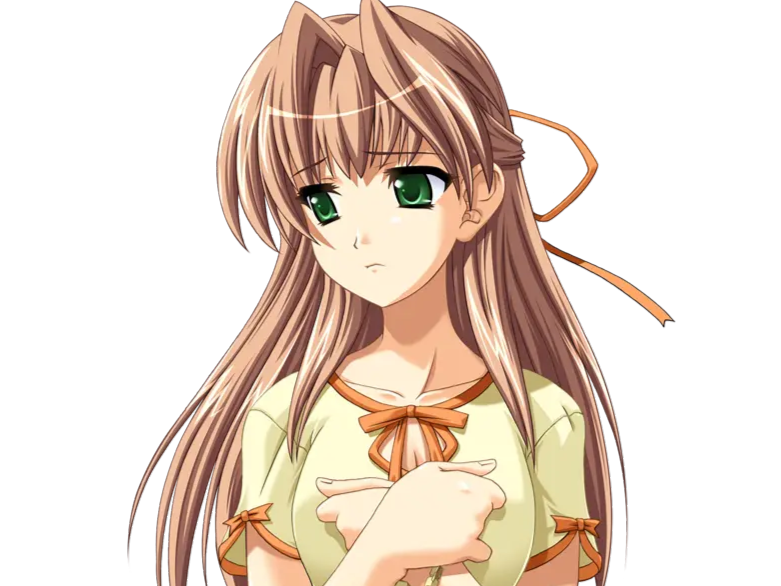 sasakawa ai presence vn