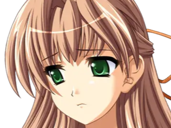 sasakawa ai presence vn
