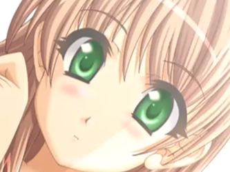 sasakawa ai presence vn