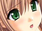 sasakawa-ai-presence-vn