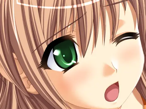 sasakawa ai presence vn